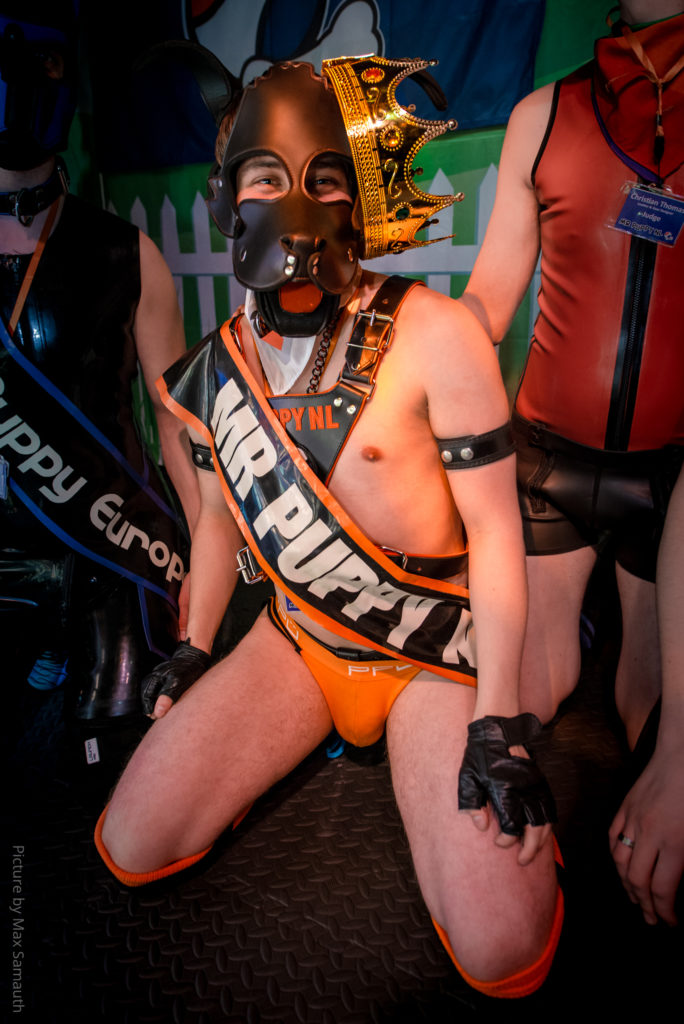 Mr Puppy NL 2019 - Pup Sada